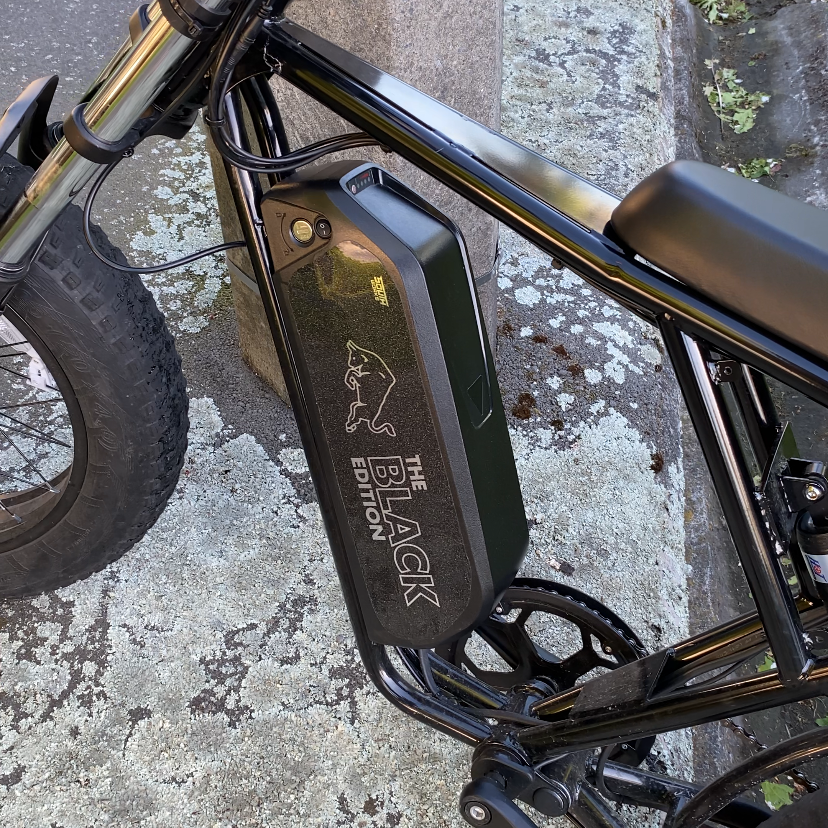 RIDSTAR Q20 REDBULL EDITION BATTERY DECAL